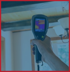 Mold Removal and Inspection Image