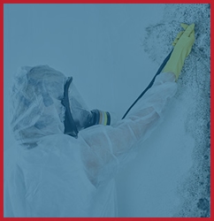 Mold Removal and Inspection Image