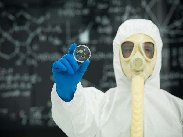 mold inspection